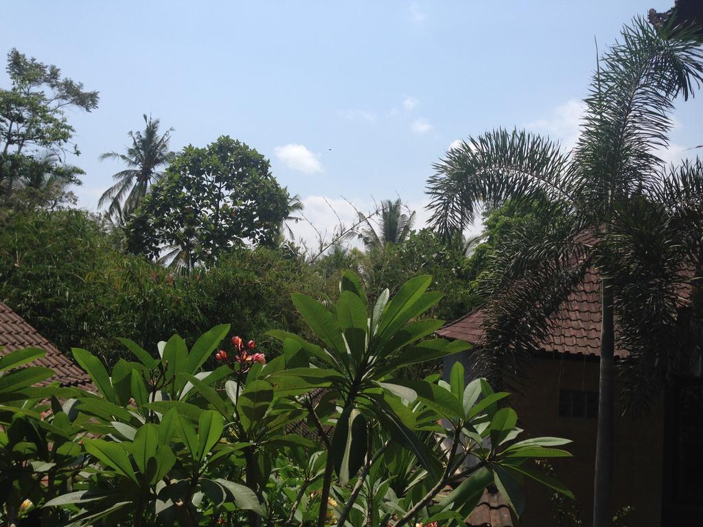 Ubud Rooms B&B Bilik gambar
