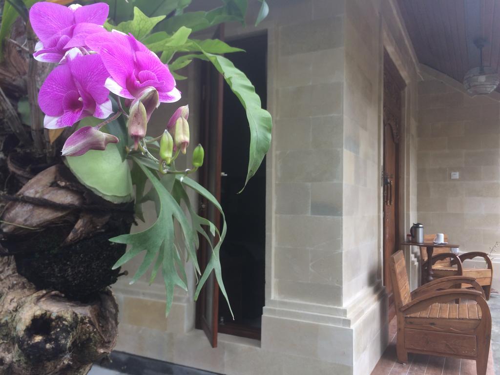 Ubud Rooms B&B Luaran gambar