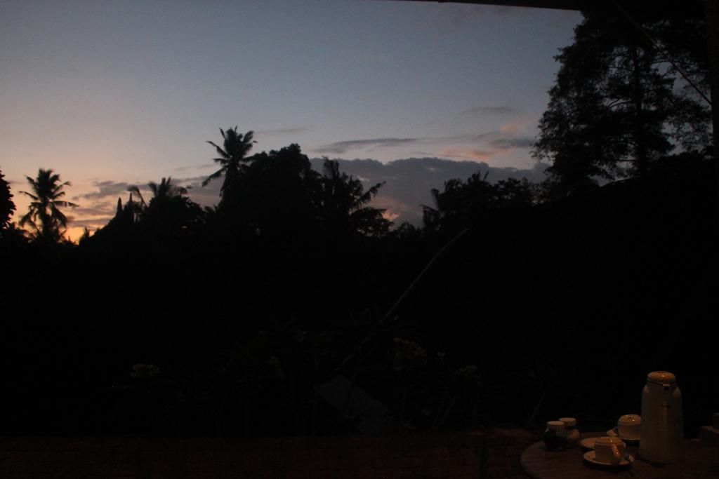 Ubud Rooms B&B Luaran gambar