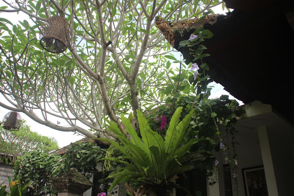 Ubud Rooms B&B Luaran gambar